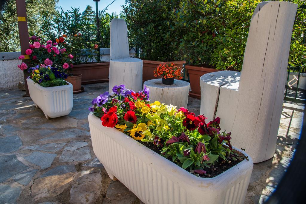 Casa Mariangi Bed & Breakfast *
